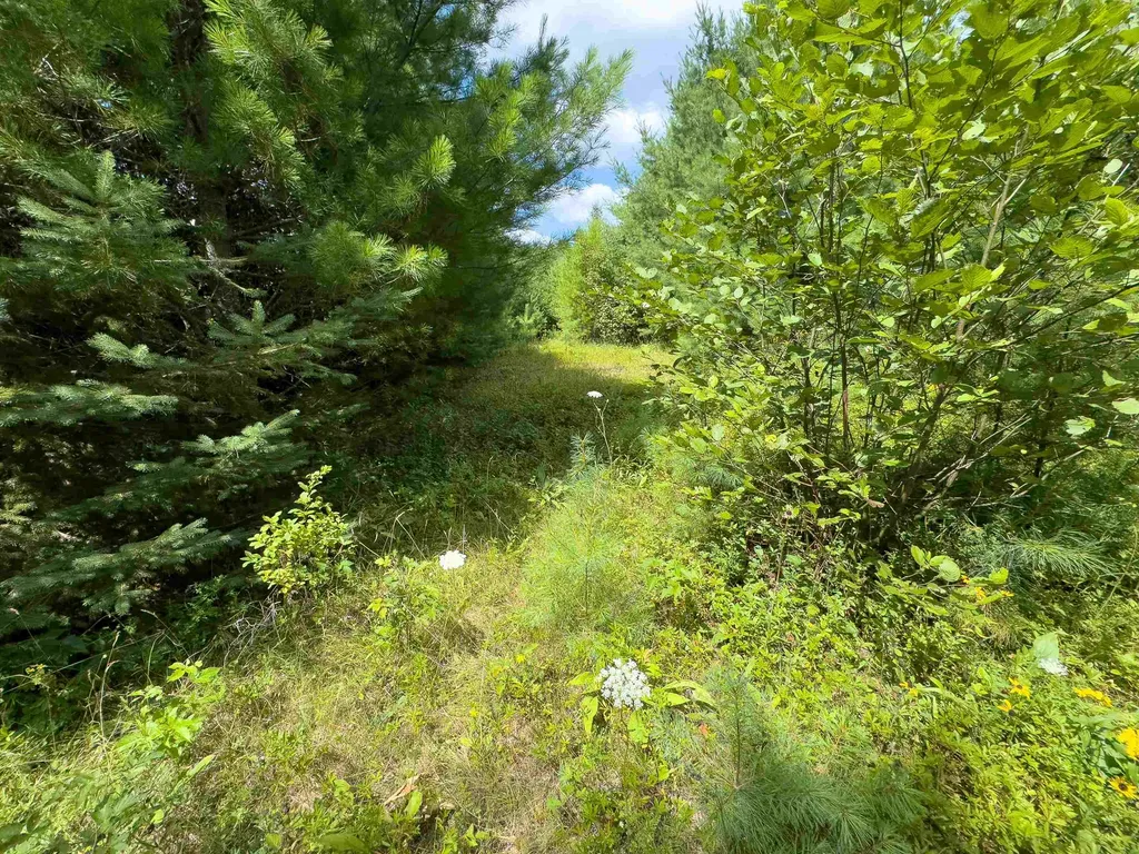 00 Scotch Hollow Road Newbury VT 05051