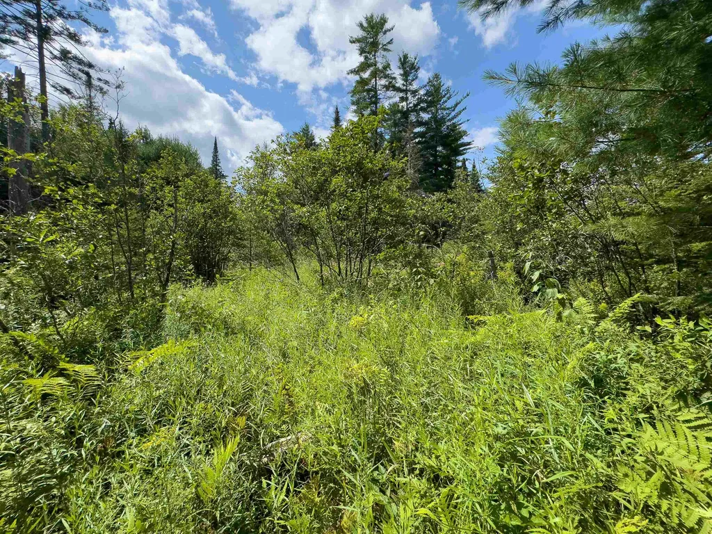 00 Scotch Hollow Road Newbury VT 05051