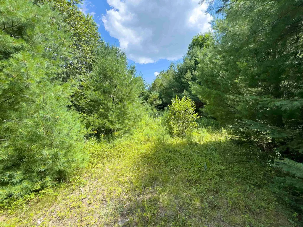 00 Scotch Hollow Road Newbury VT 05051