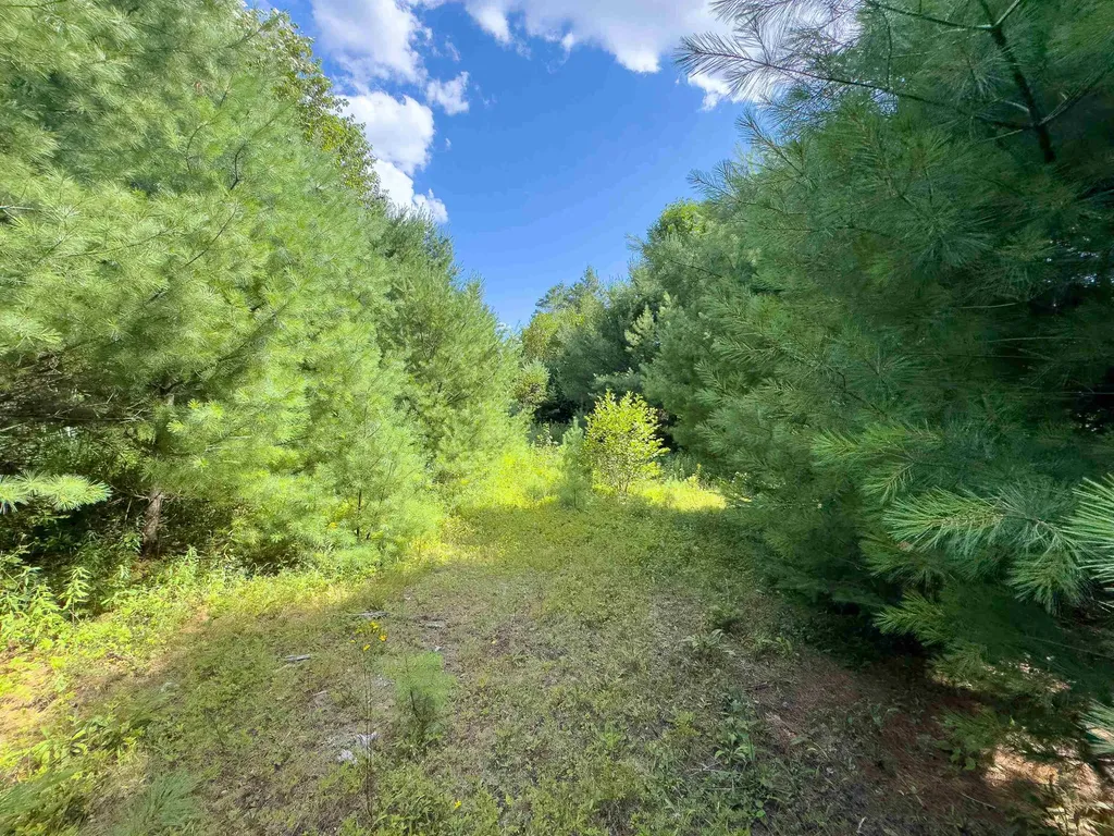 00 Scotch Hollow Road Newbury VT 05051