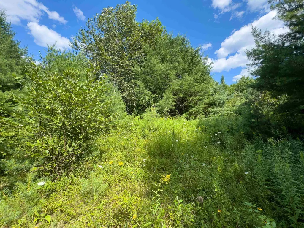 00 Scotch Hollow Road Newbury VT 05051