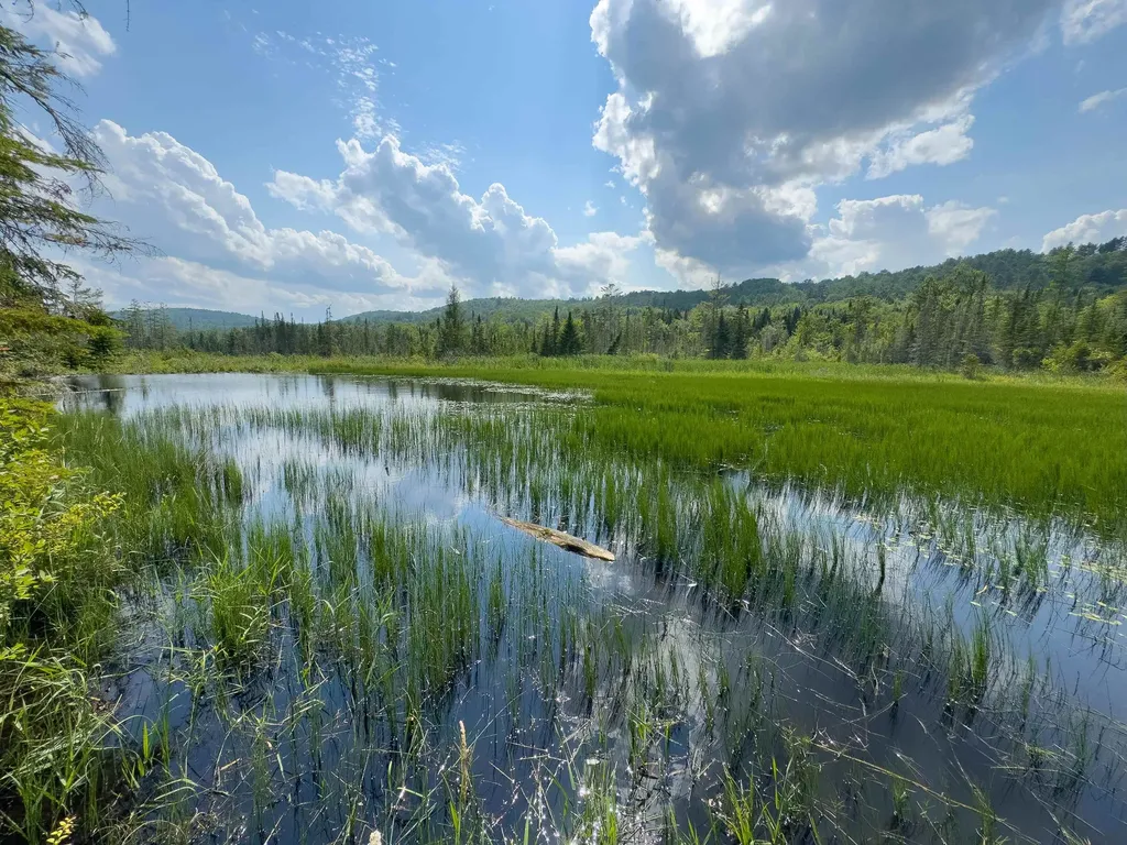 00 Scotch Hollow Road Newbury VT 05051