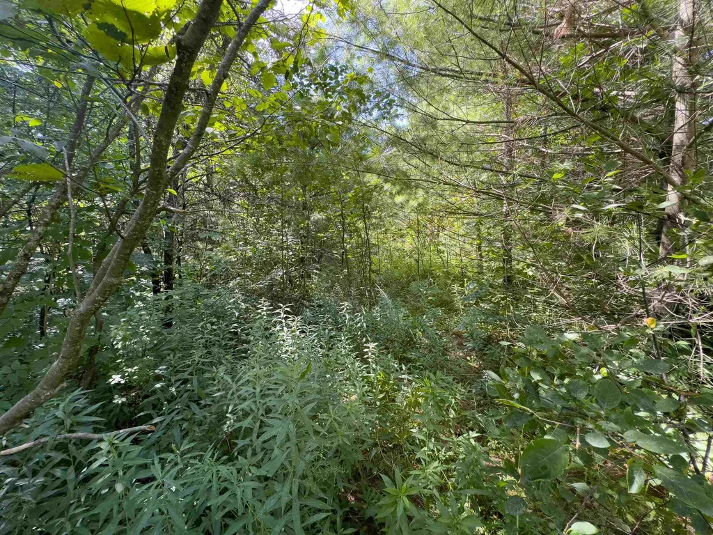 00 Scotch Hollow Road Newbury VT 05051