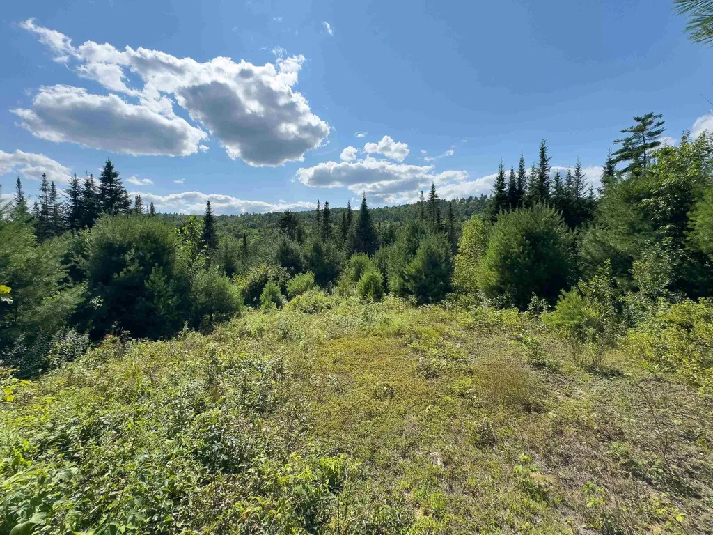 00 Scotch Hollow Road Newbury VT 05051