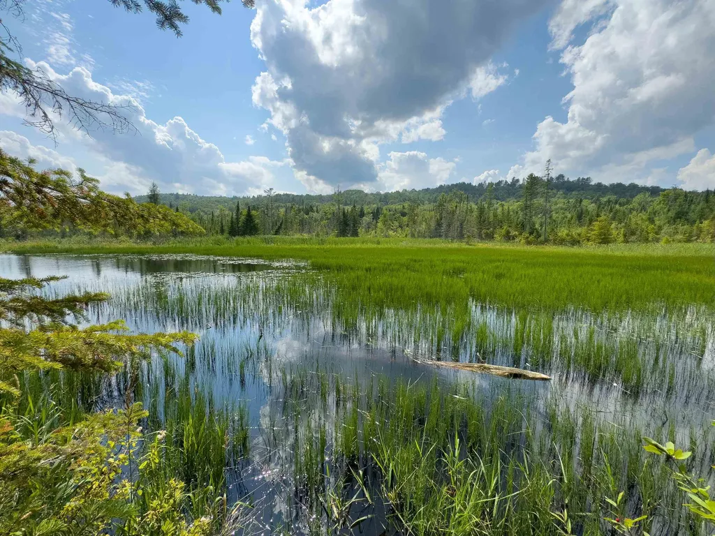 00 Scotch Hollow Road Newbury VT 05051