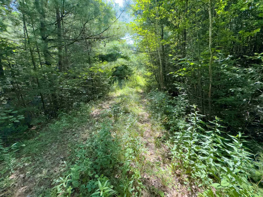 00 Scotch Hollow Road Newbury VT 05051