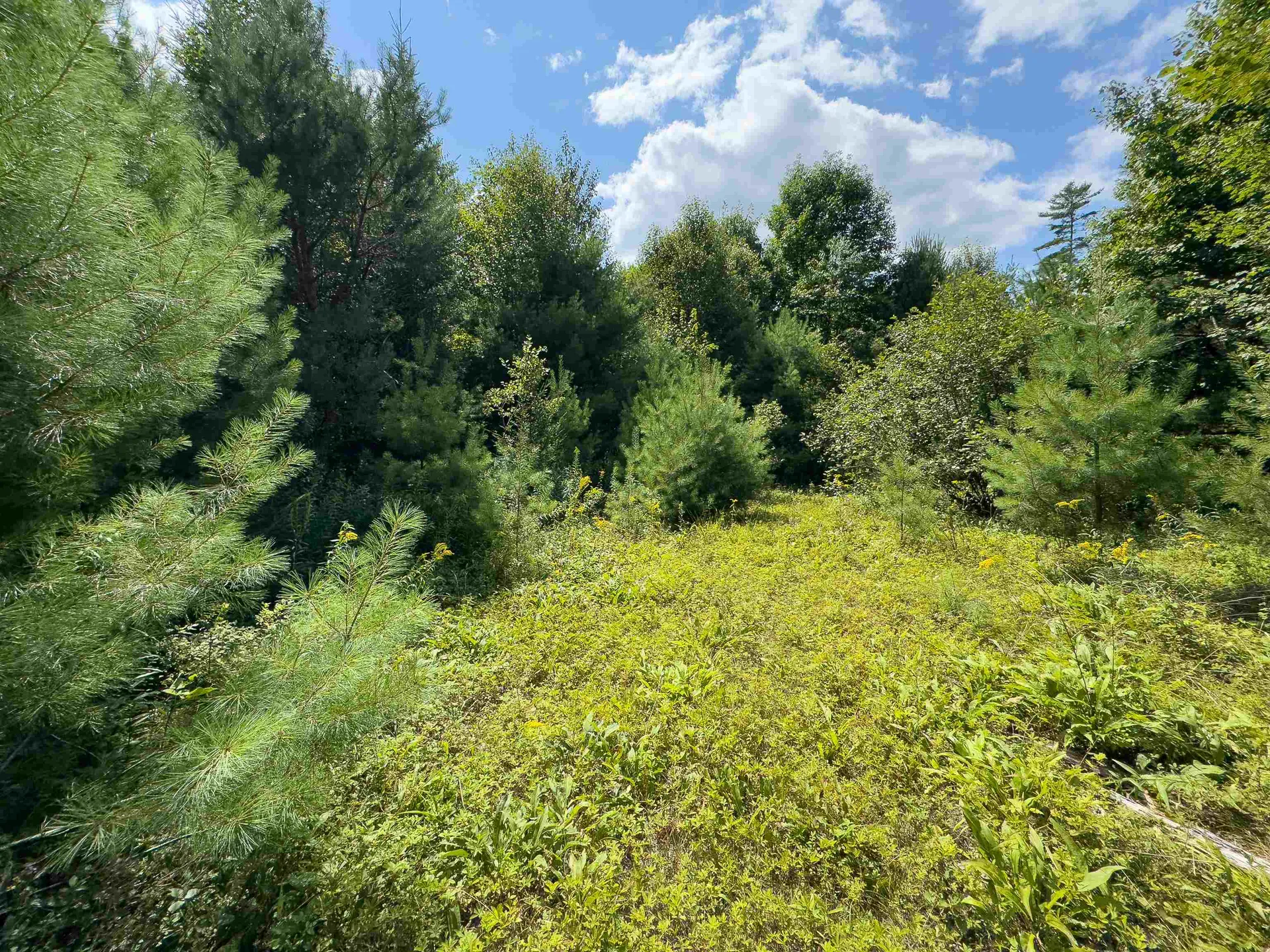 00 Scotch Hollow Road Newbury VT 05051