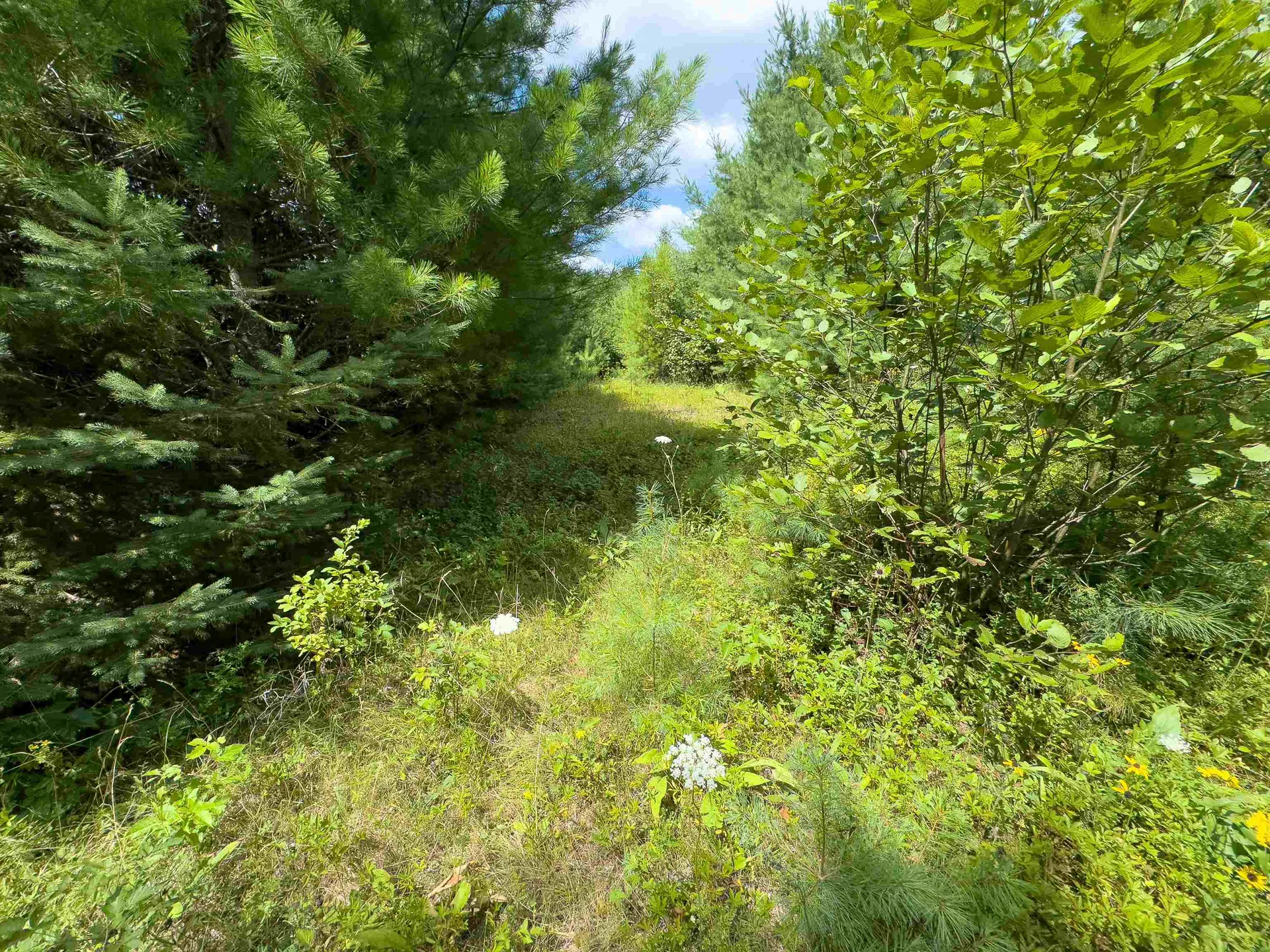 00 Scotch Hollow Road Newbury VT 05051