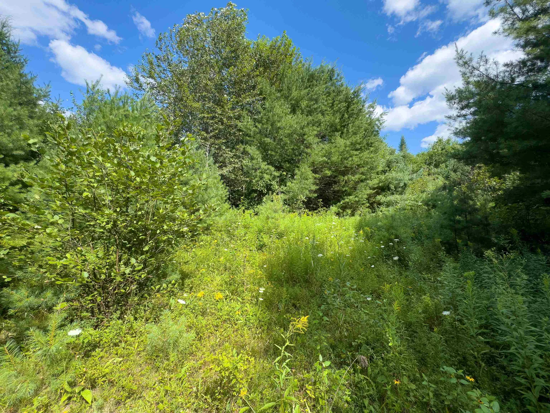 00 Scotch Hollow Road Newbury VT 05051