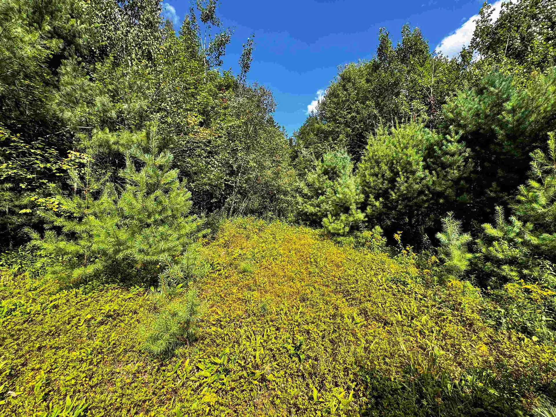 00 Scotch Hollow Road Newbury VT 05051