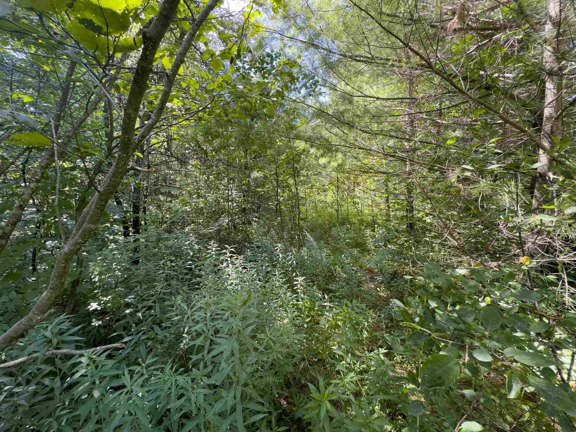 00 Scotch Hollow Road Newbury VT 05051