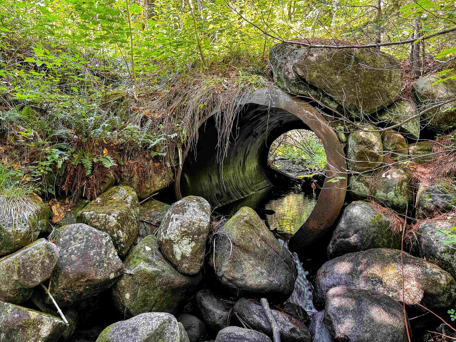 00 Scotch Hollow Road Newbury VT 05051