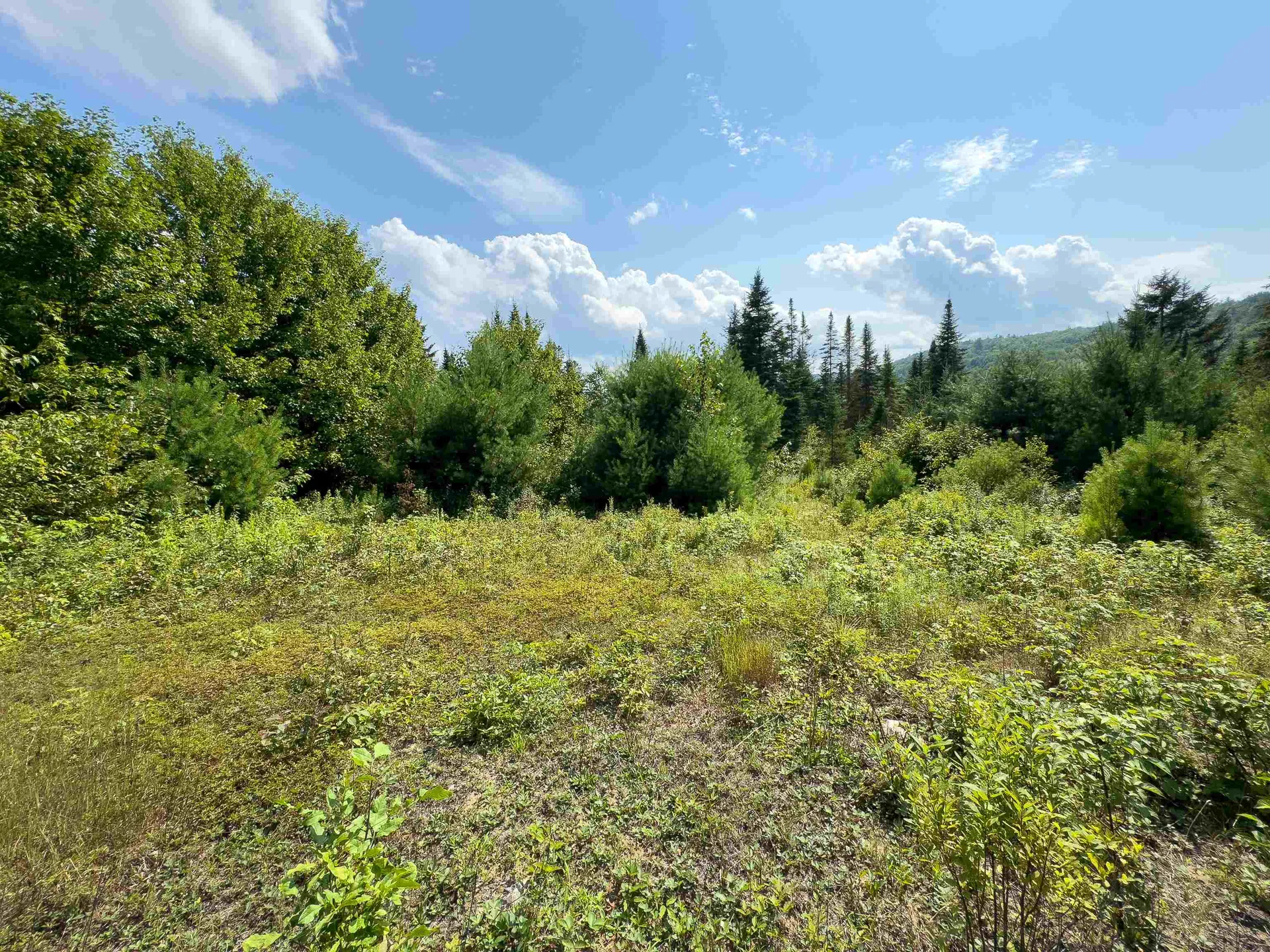 00 Scotch Hollow Road Newbury VT 05051