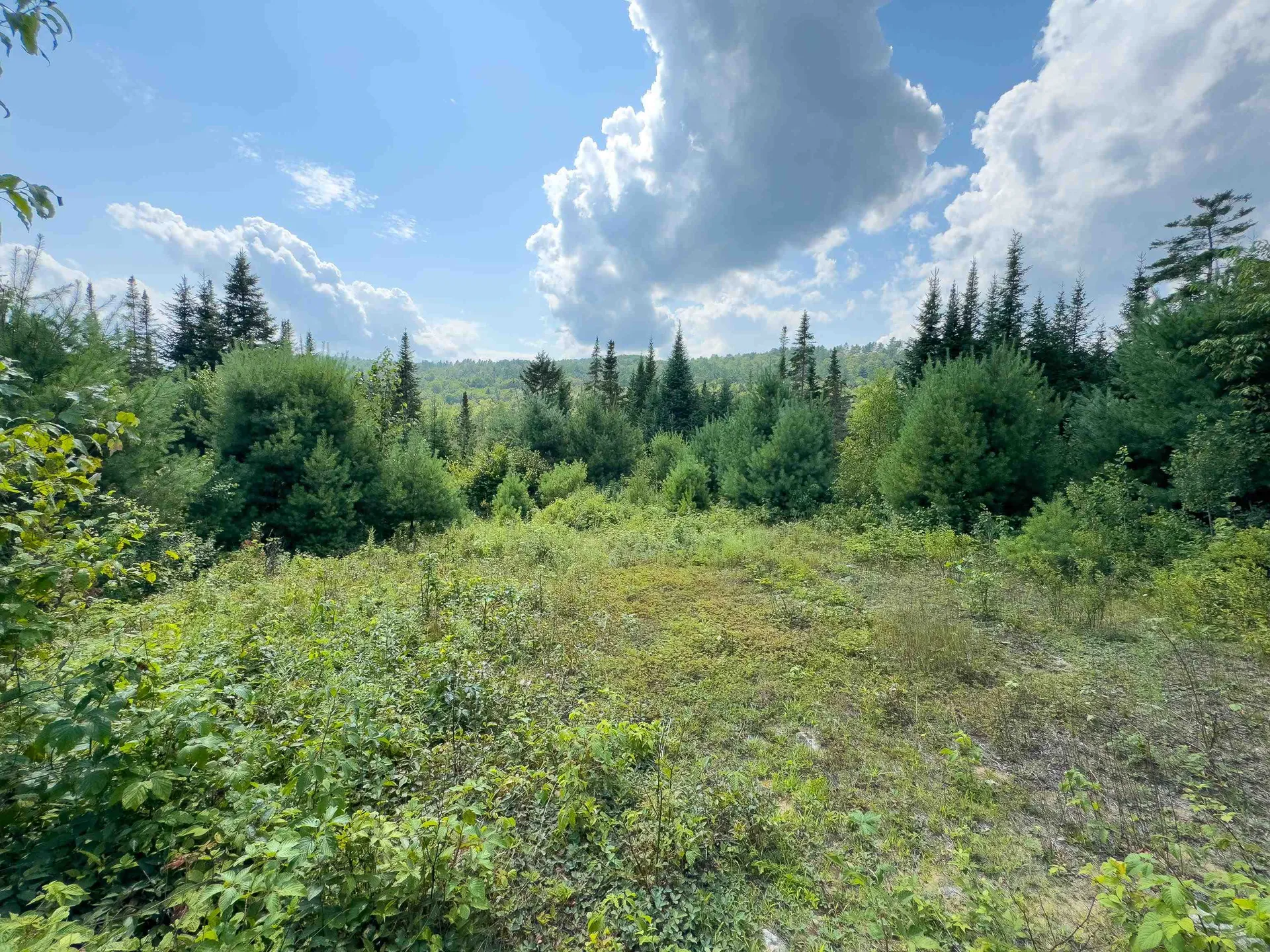 00 Scotch Hollow Road Newbury VT 05051