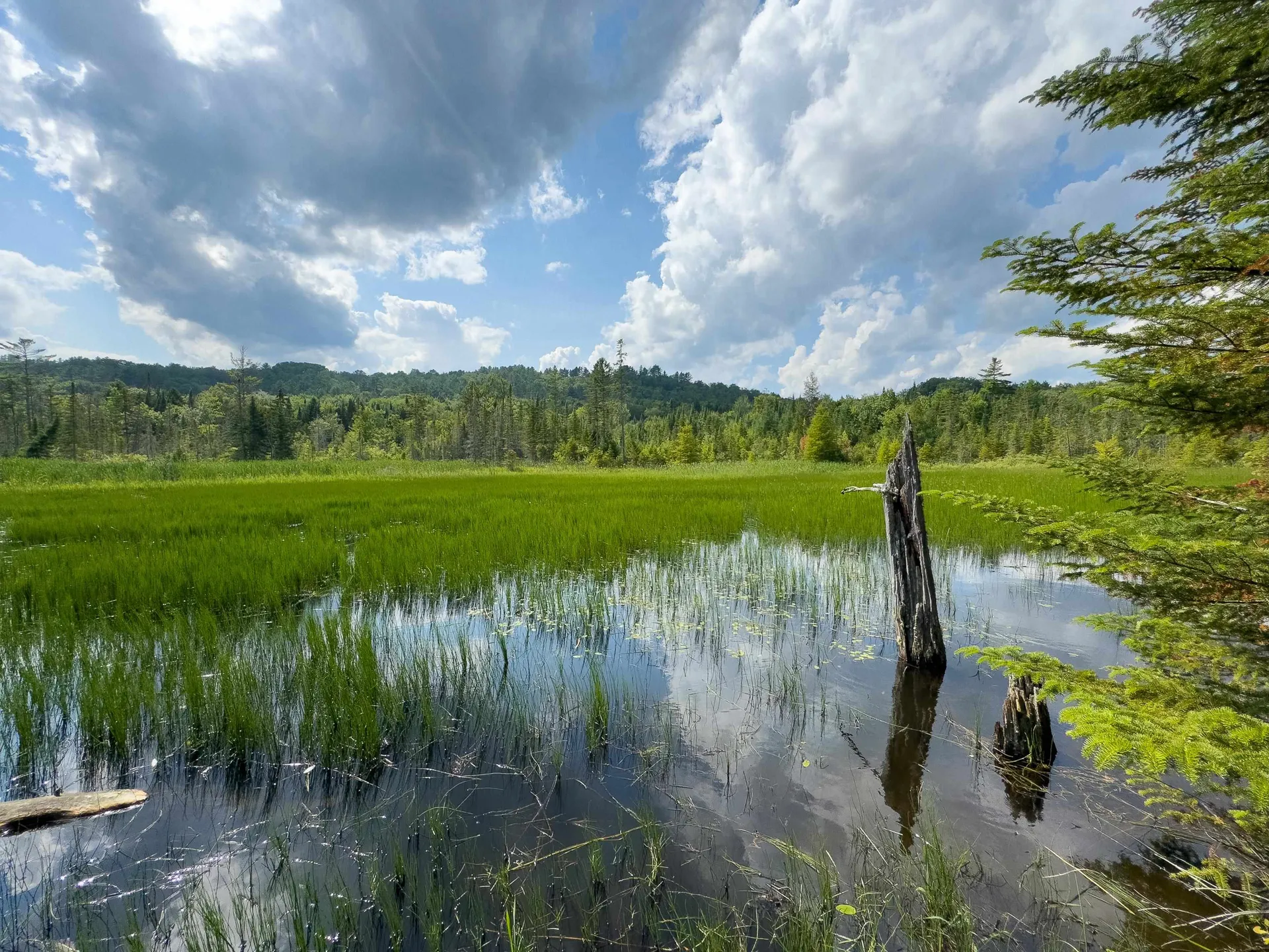 00 Scotch Hollow Road Newbury VT 05051