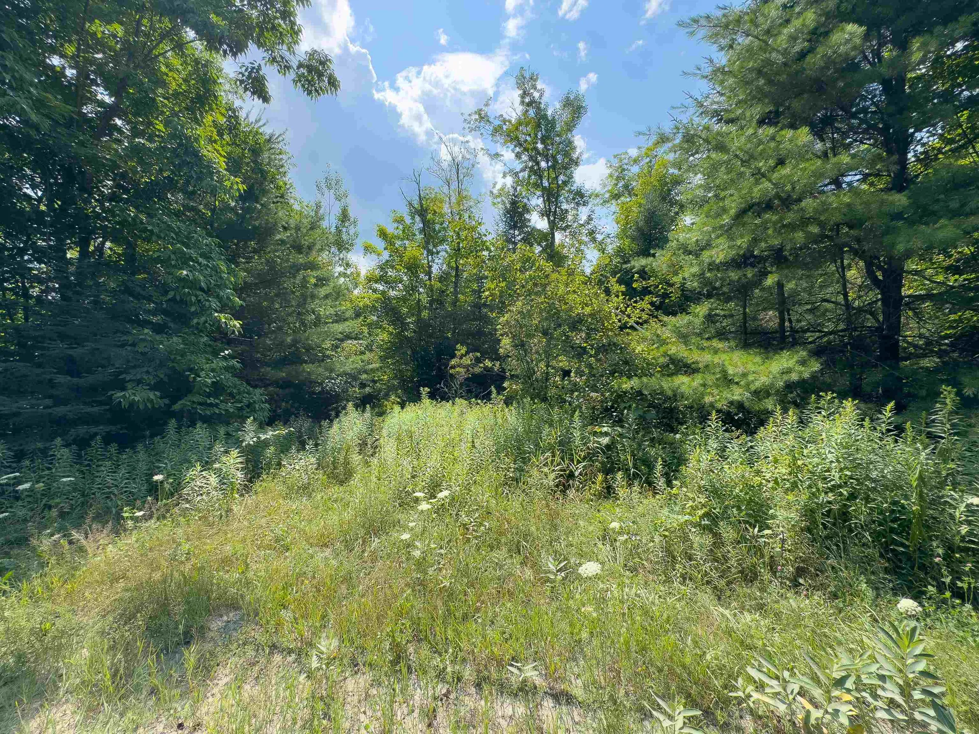 00 Scotch Hollow Road Newbury VT 05051