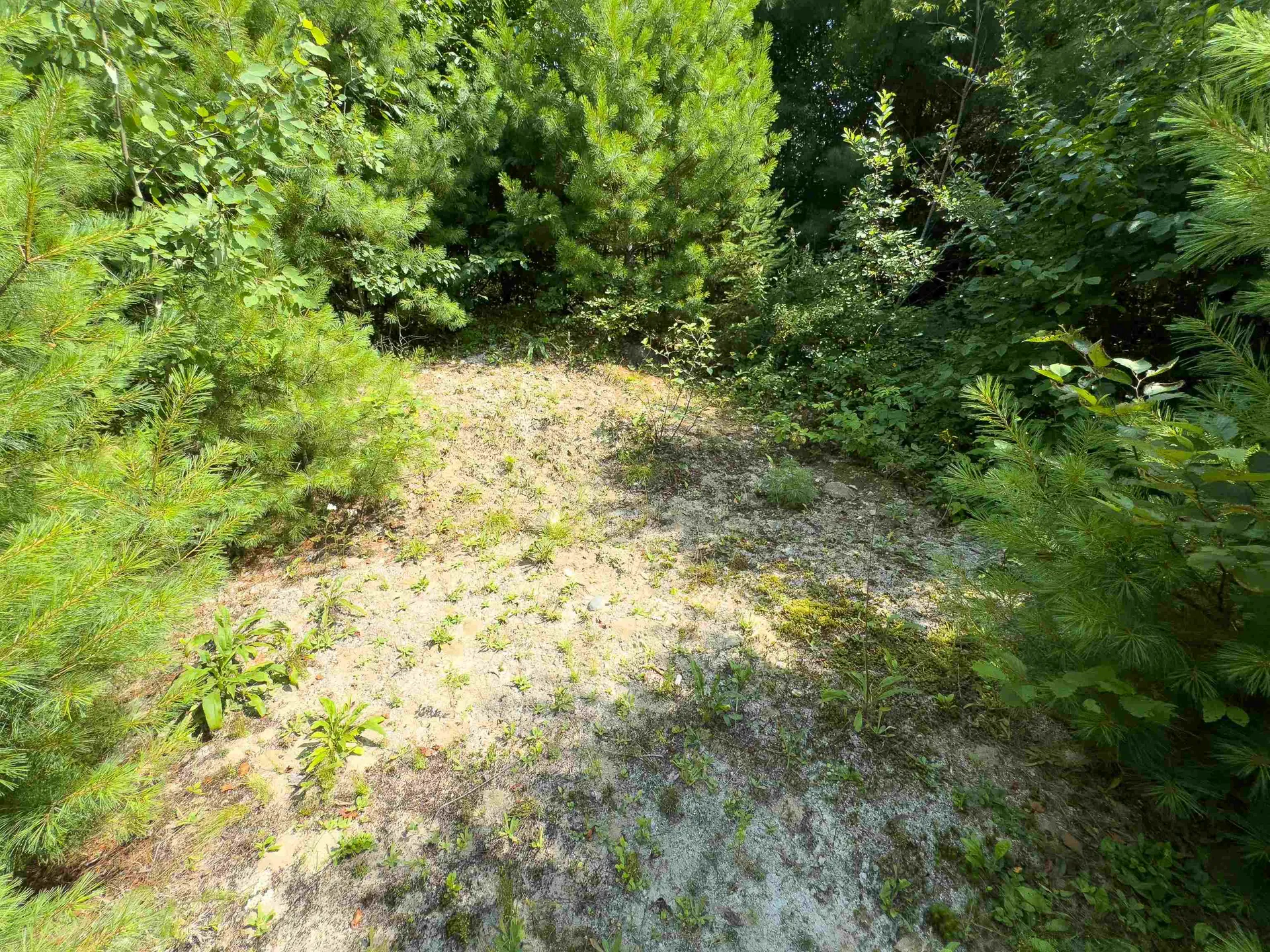 00 Scotch Hollow Road Newbury VT 05051