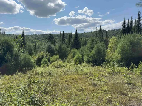 00 Scotch Hollow Road Newbury VT 05051