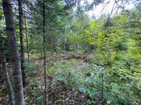 00 Scotch Hollow Road Newbury VT 05051