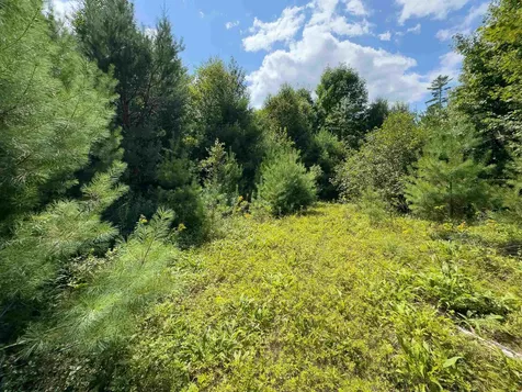 00 Scotch Hollow Road Newbury VT 05051