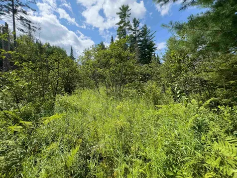 00 Scotch Hollow Road Newbury VT 05051