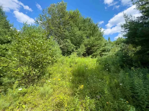 00 Scotch Hollow Road Newbury VT 05051