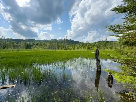 00 Scotch Hollow Road Newbury VT 05051