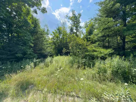 00 Scotch Hollow Road Newbury VT 05051