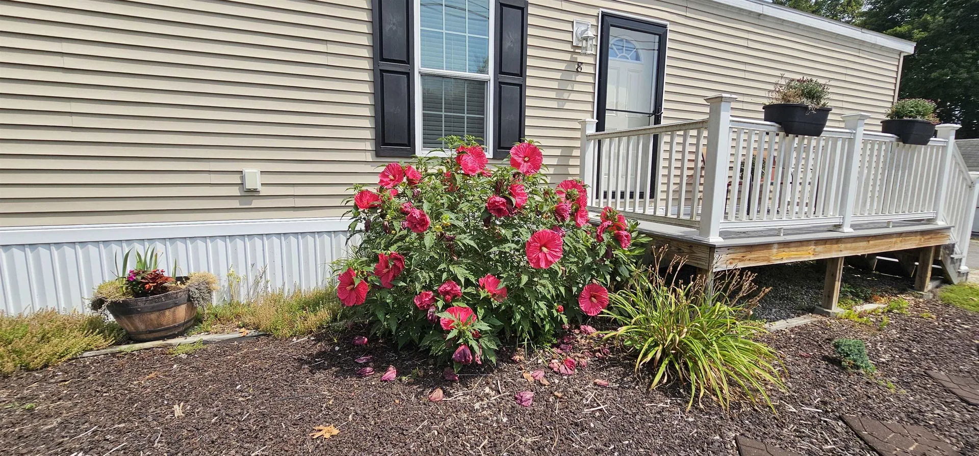 8 Barksdale Avenue Londonderry NH 03053