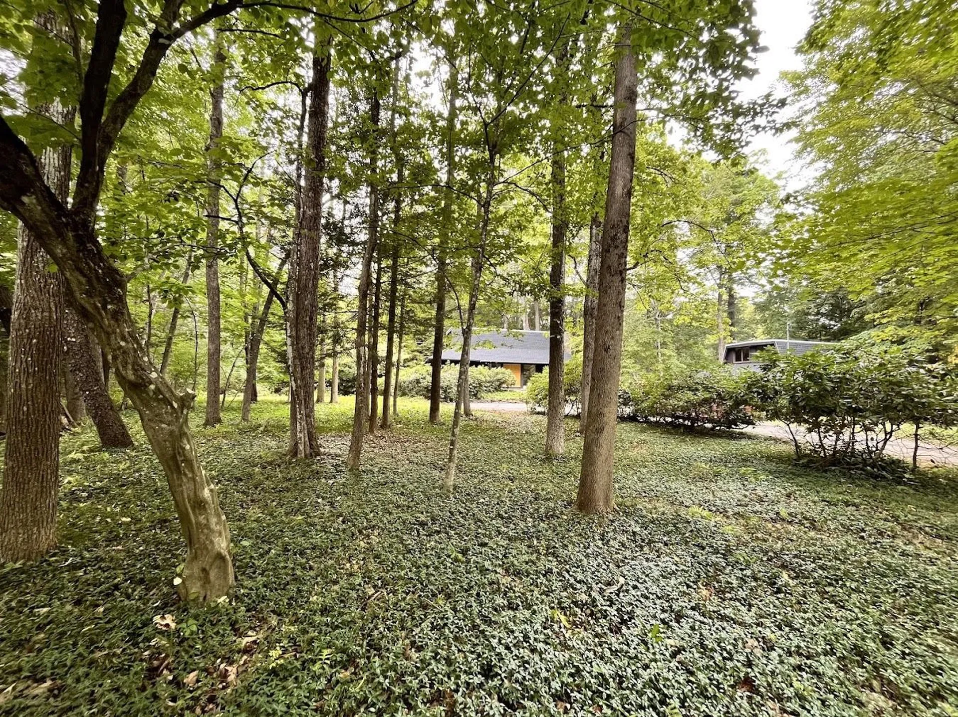 23 Orchard Drive Durham NH 03824