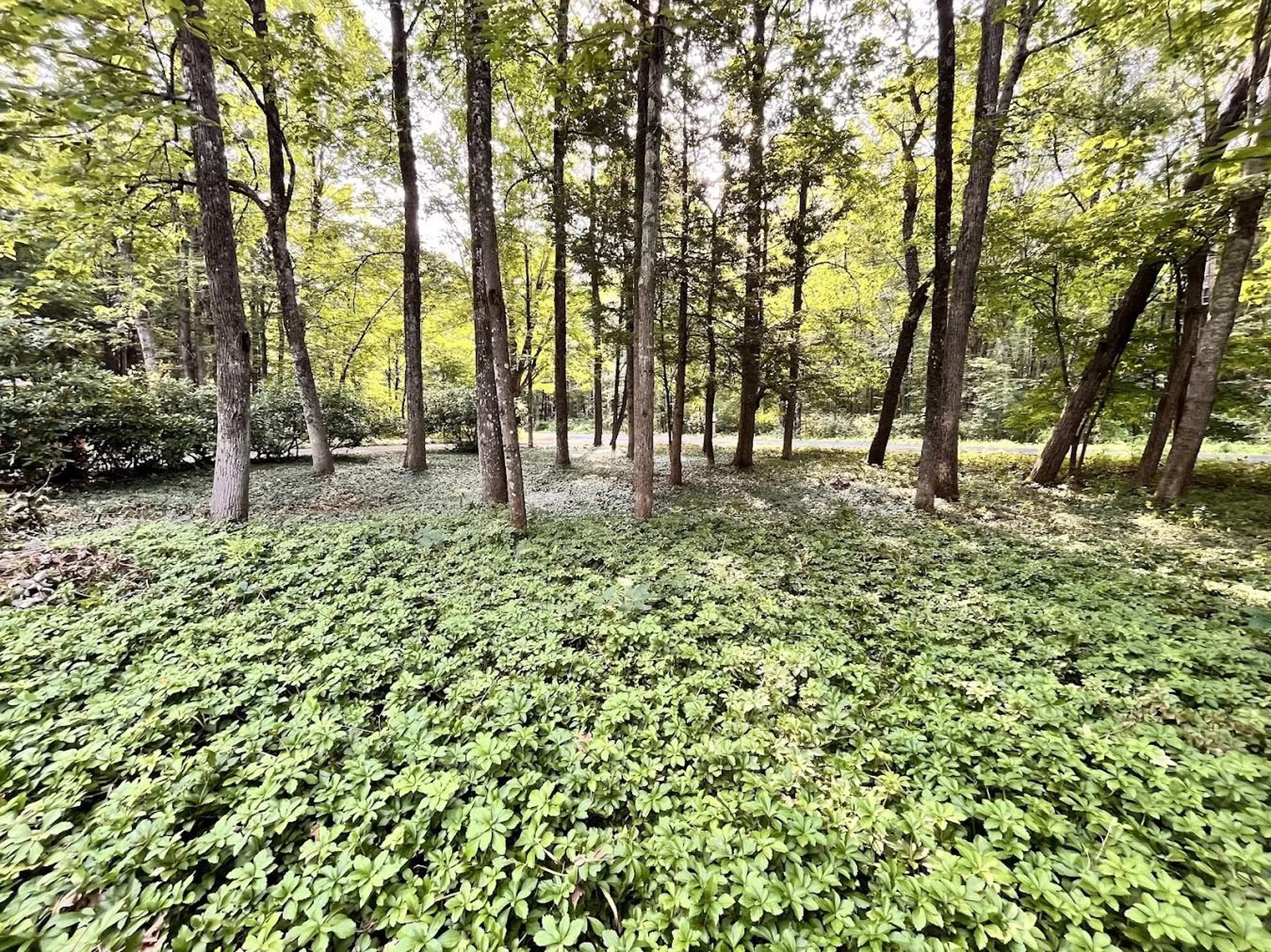 23 Orchard Drive Durham NH 03824