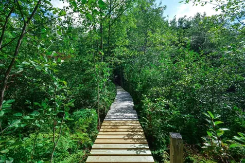 28 Moose Walk Moultonborough NH 03254