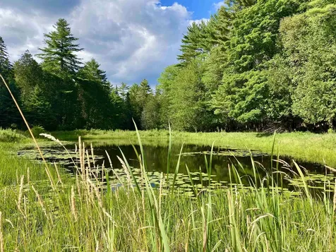 3443 North Road Newbury VT 05051