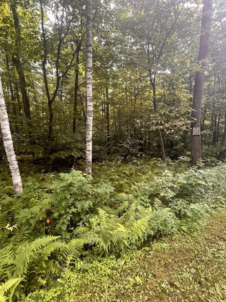 00 Old Orchard Way Warren VT 05674