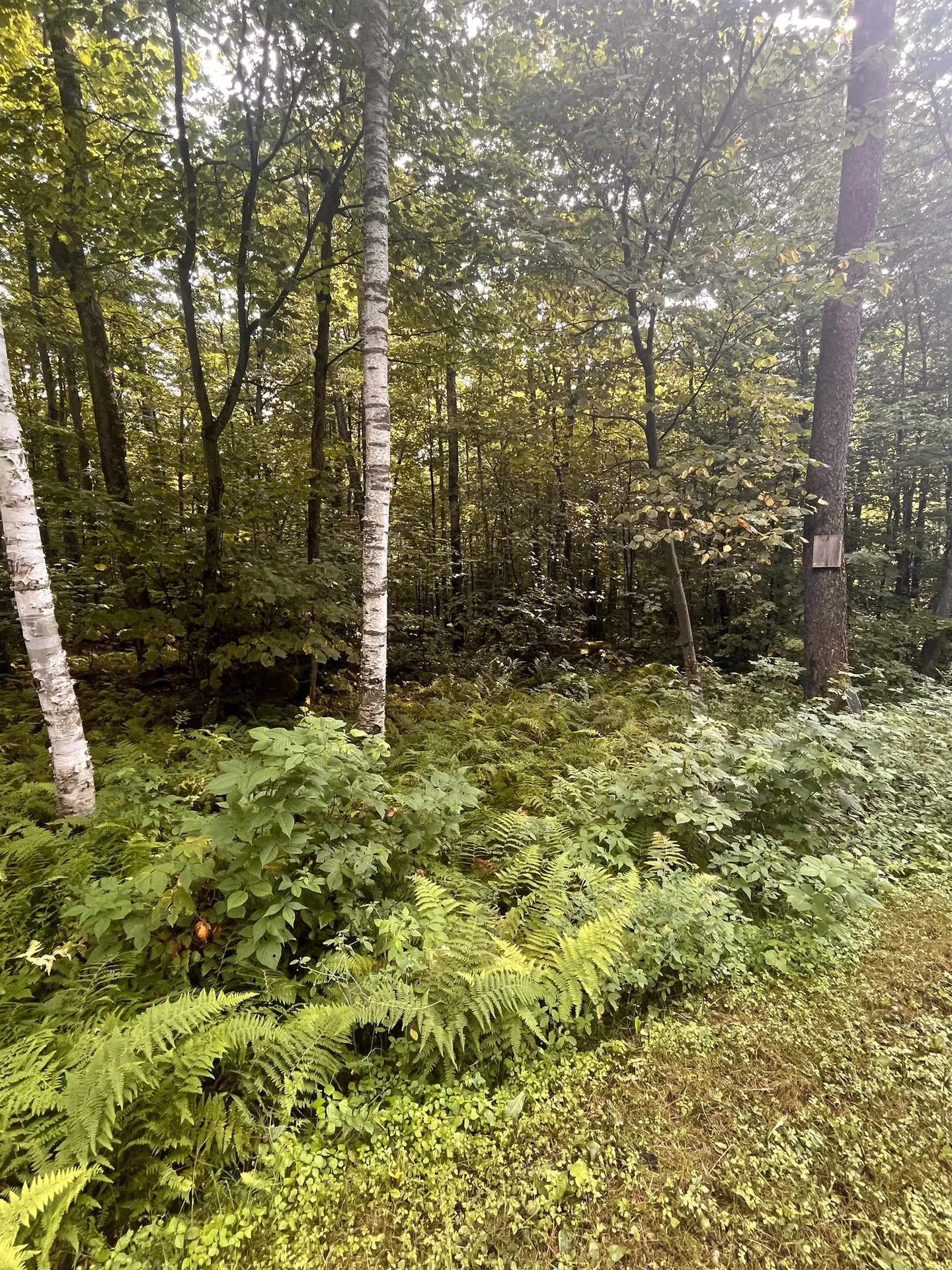 00 Old Orchard Way Warren VT 05674
