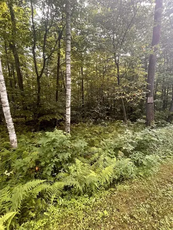 00 Old Orchard Way Warren VT 05674