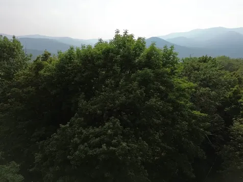 00 Old Orchard Way Warren VT 05674