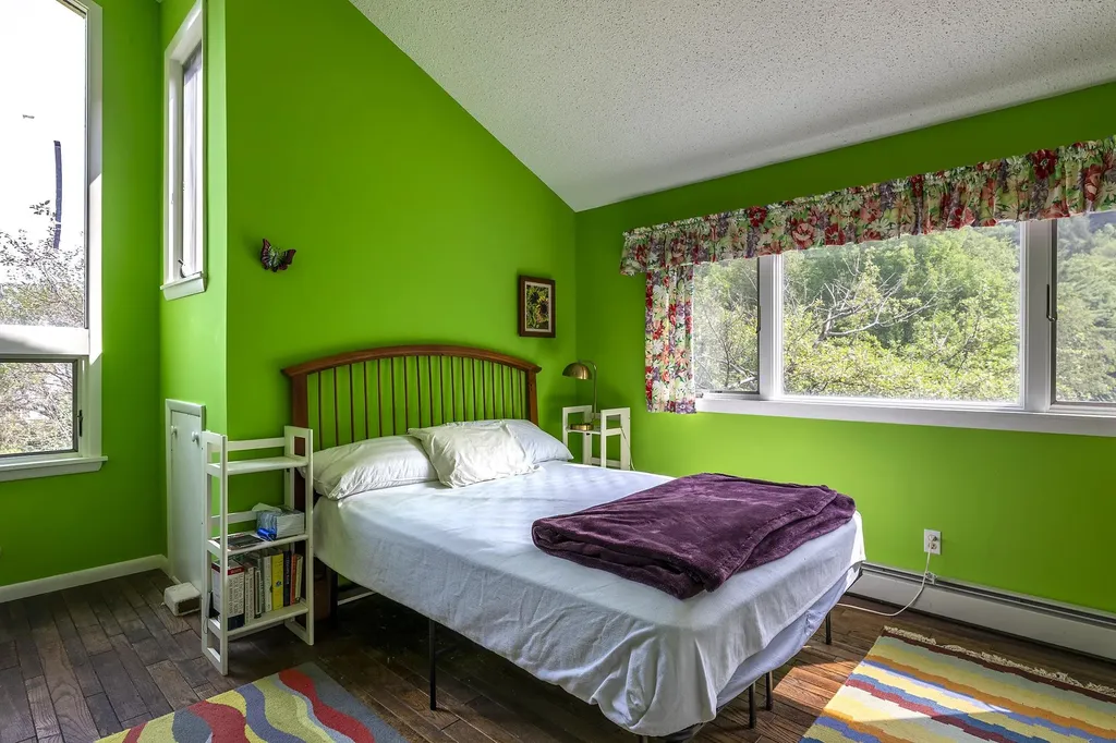 1175 South End Road Mount Tabor VT 05253