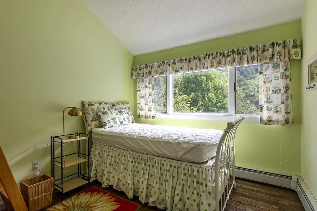 1175 South End Road Mount Tabor VT 05253