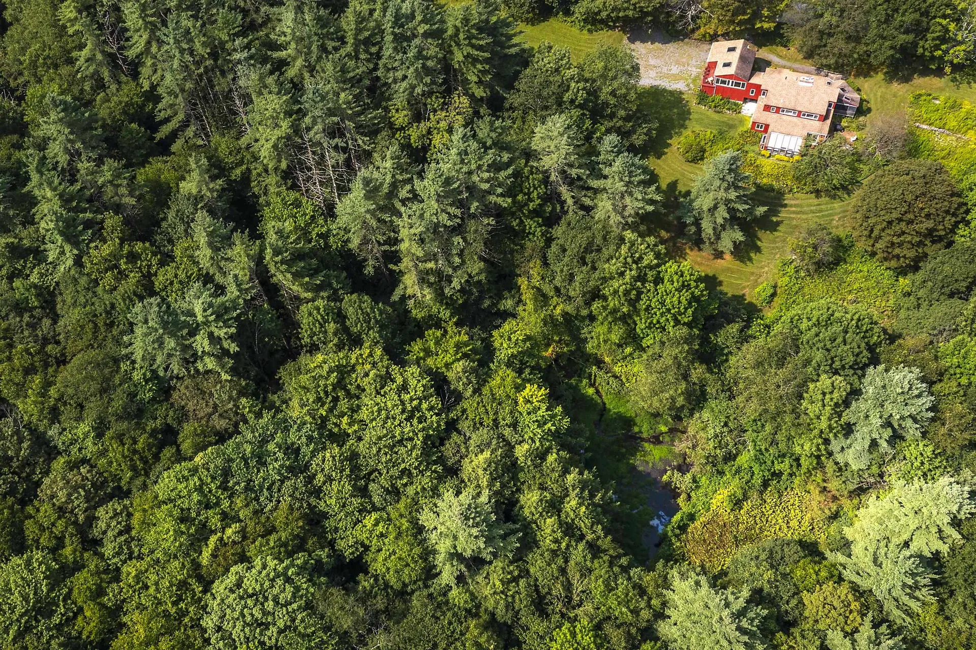 1175 South End Road Mount Tabor VT 05253