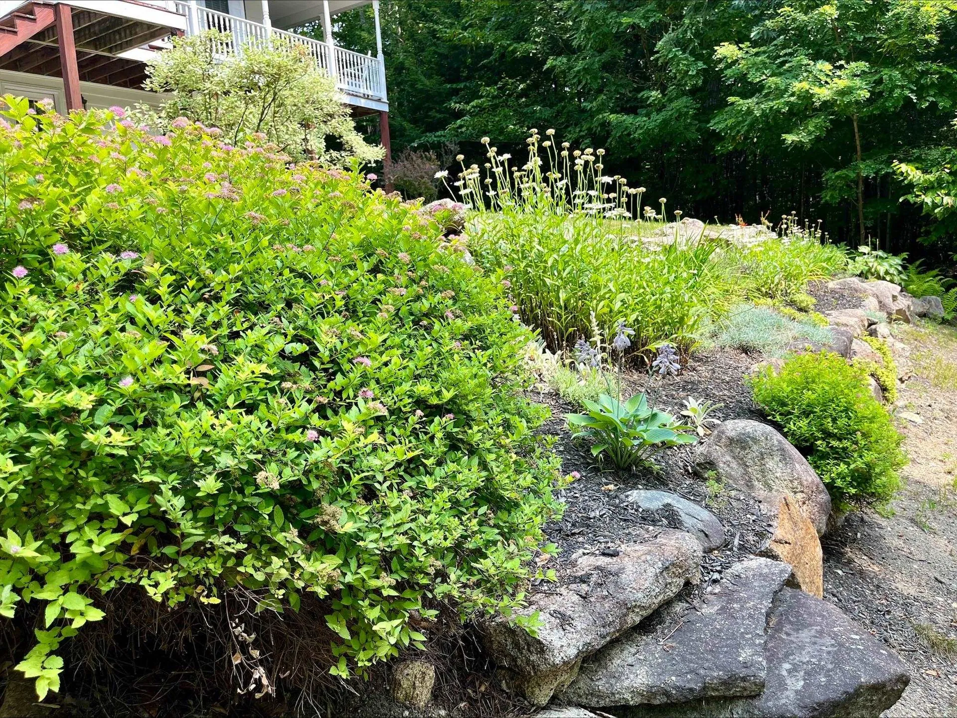 459 Grandview Road Conway NH 03818