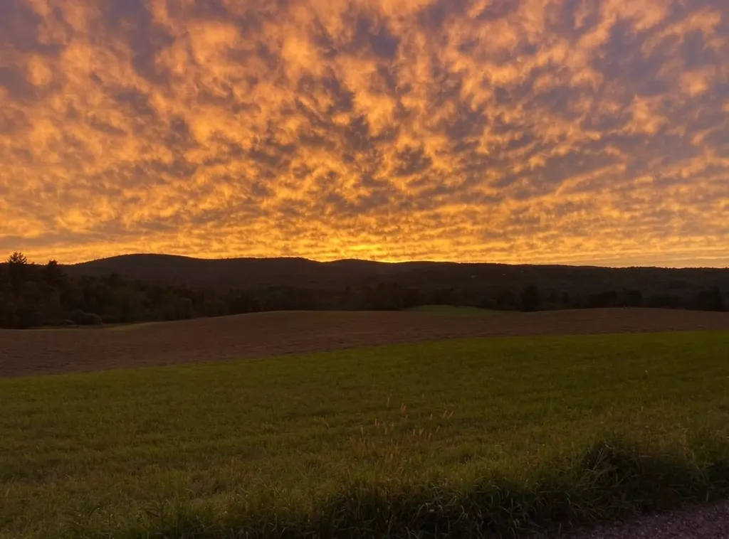 183 County Road Lincoln VT 05443