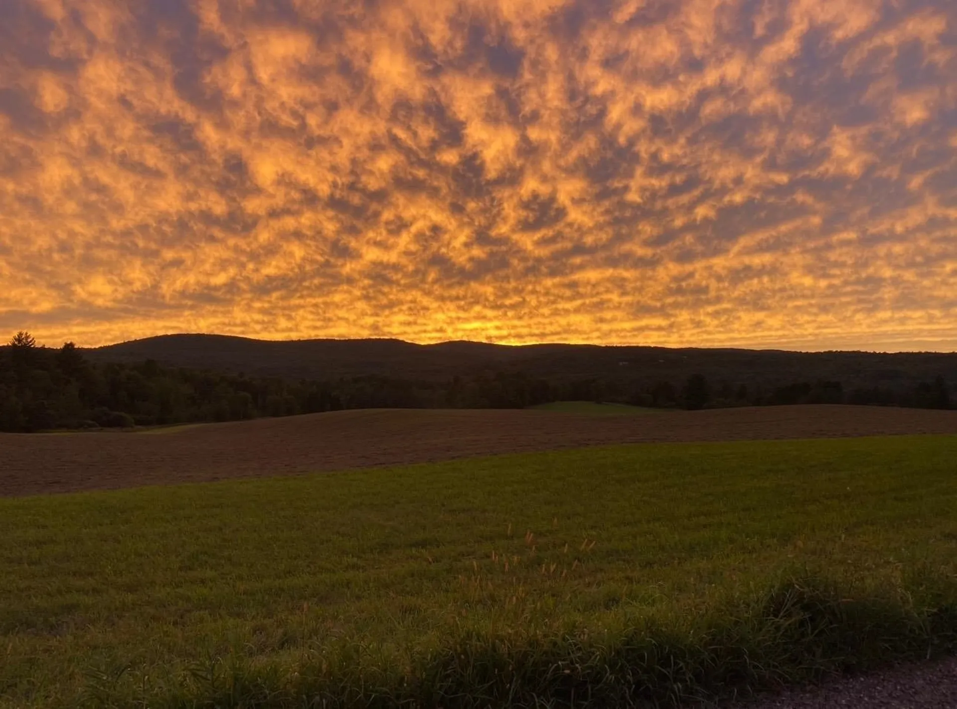 183 County Road Lincoln VT 05443