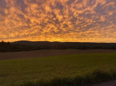 183 County Road Lincoln VT 05443