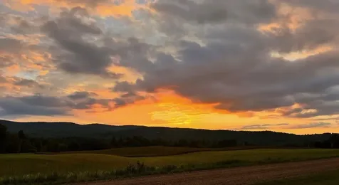 183 County Road Lincoln VT 05443