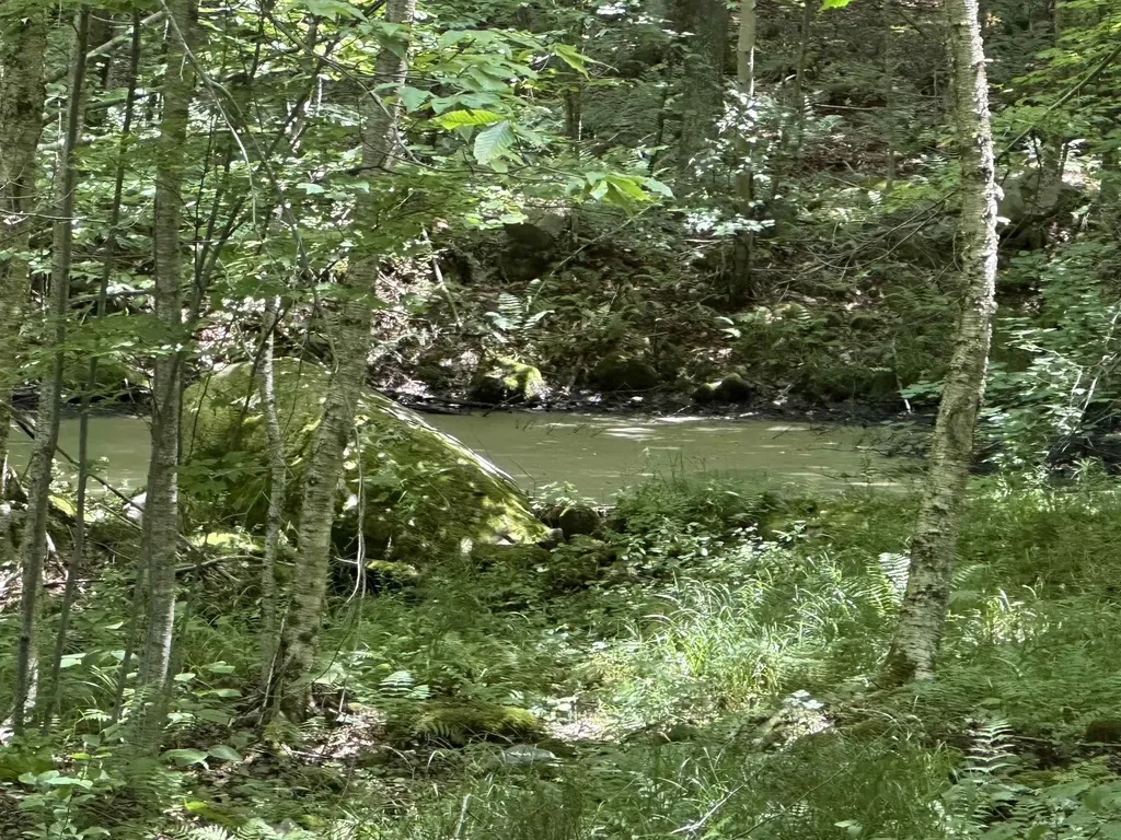 344 Hemlock Lane Ripton VT 05766