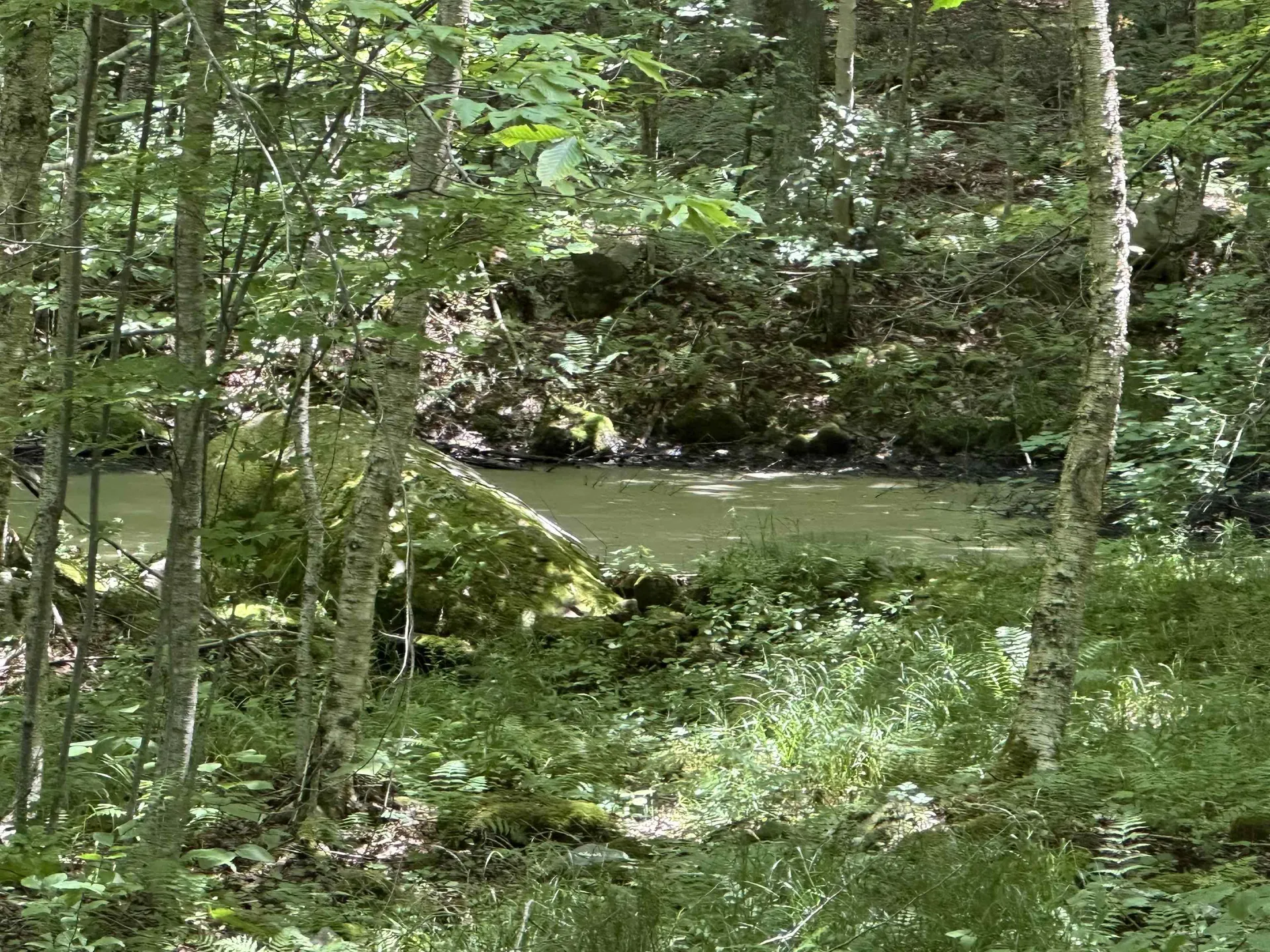 344 Hemlock Lane Ripton VT 05766