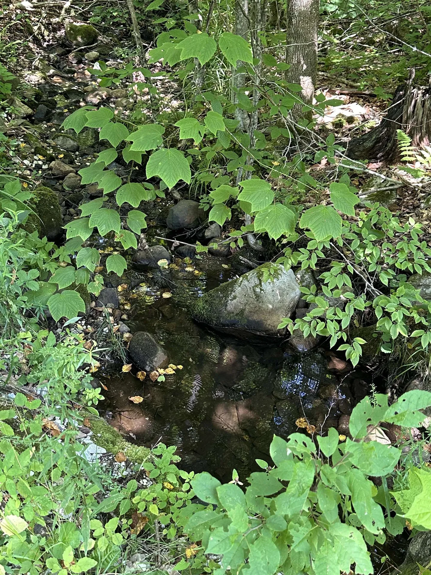 344 Hemlock Lane Ripton VT 05766