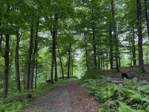 17 Maple Hill Farm Road Colebrook NH 03576