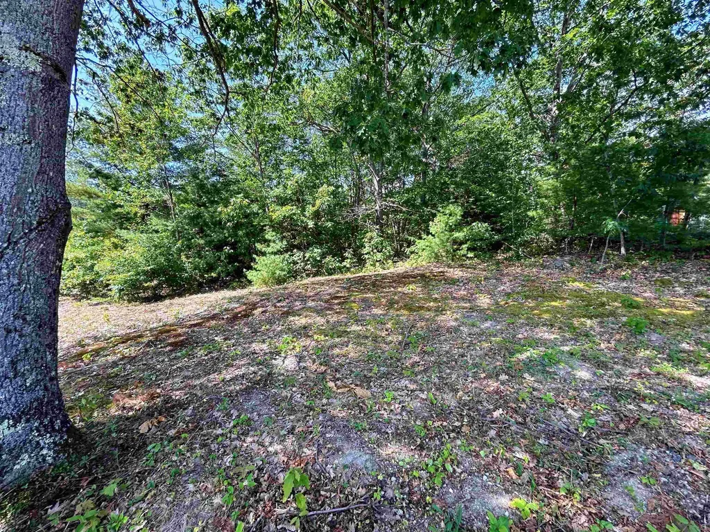 149 Bear Hill Road Henniker NH 03242